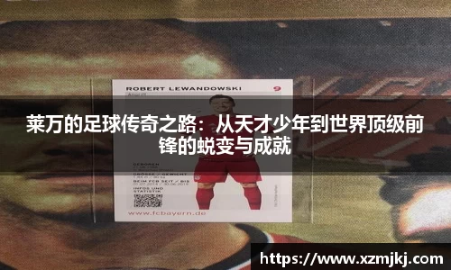 mk体育